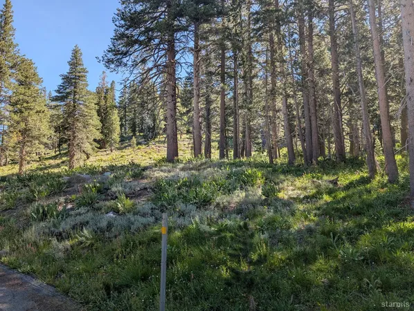 a large yard with lots of green space and house in the back