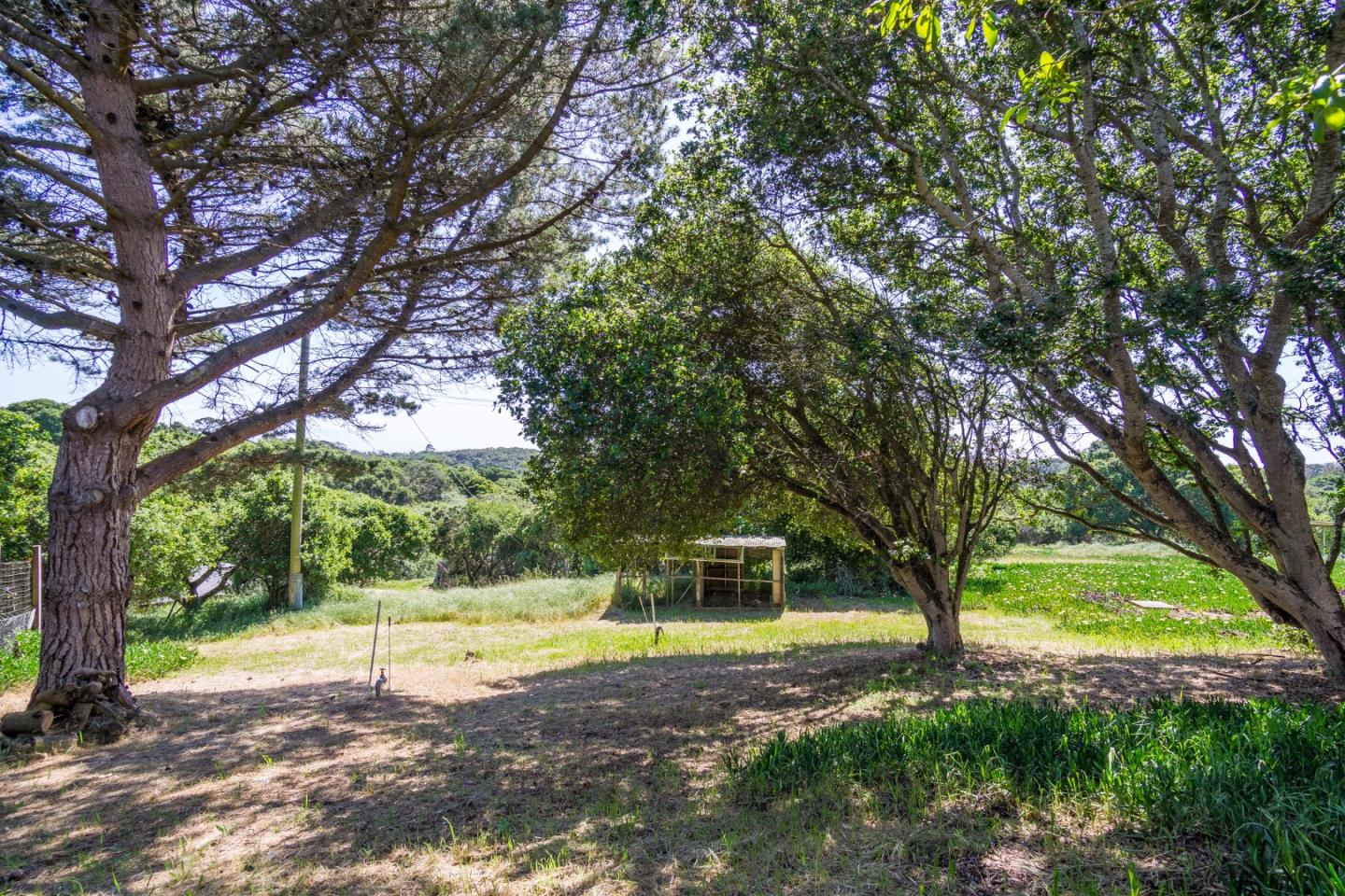 237 Walker Valley Road Castroville, CA 95012 - Photo 14 of 15 Gallery Image 14