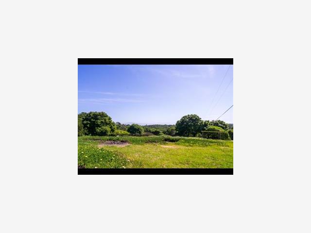 237 Walker Valley Road Castroville, CA 95012 - Photo 15 of 15 Gallery Image 15