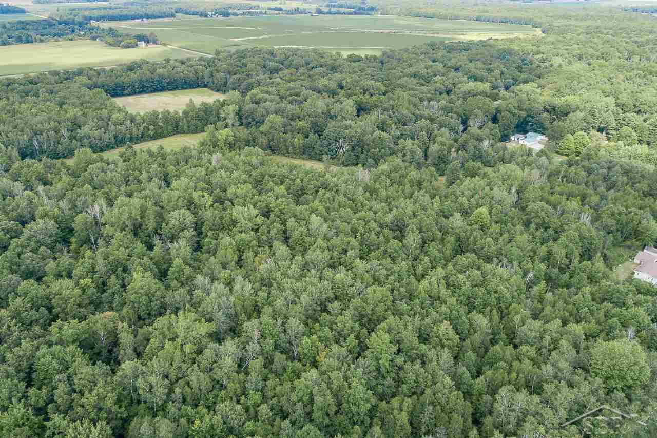 5900 South Steel Road St. Charles, MI 48655 - Photo 36 of 36 31391515-35.JPG