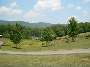 850 Marbleton Road Unicoi, TN 37692 - Photo 8 of 9 Photo 8