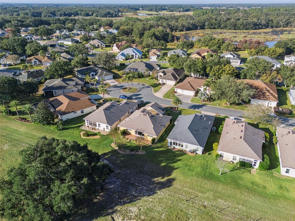 20642 Prince Ranier Place Leesburg, FL 34748 - Photo 30 of 59 an aerial view of residential houses with outdoor space and trees