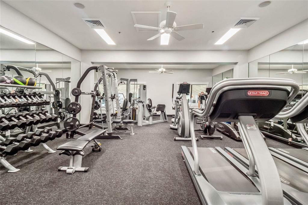20642 Prince Ranier Place Leesburg, FL 34748 - Photo 45 of 59 a view of a room with gym equipment
