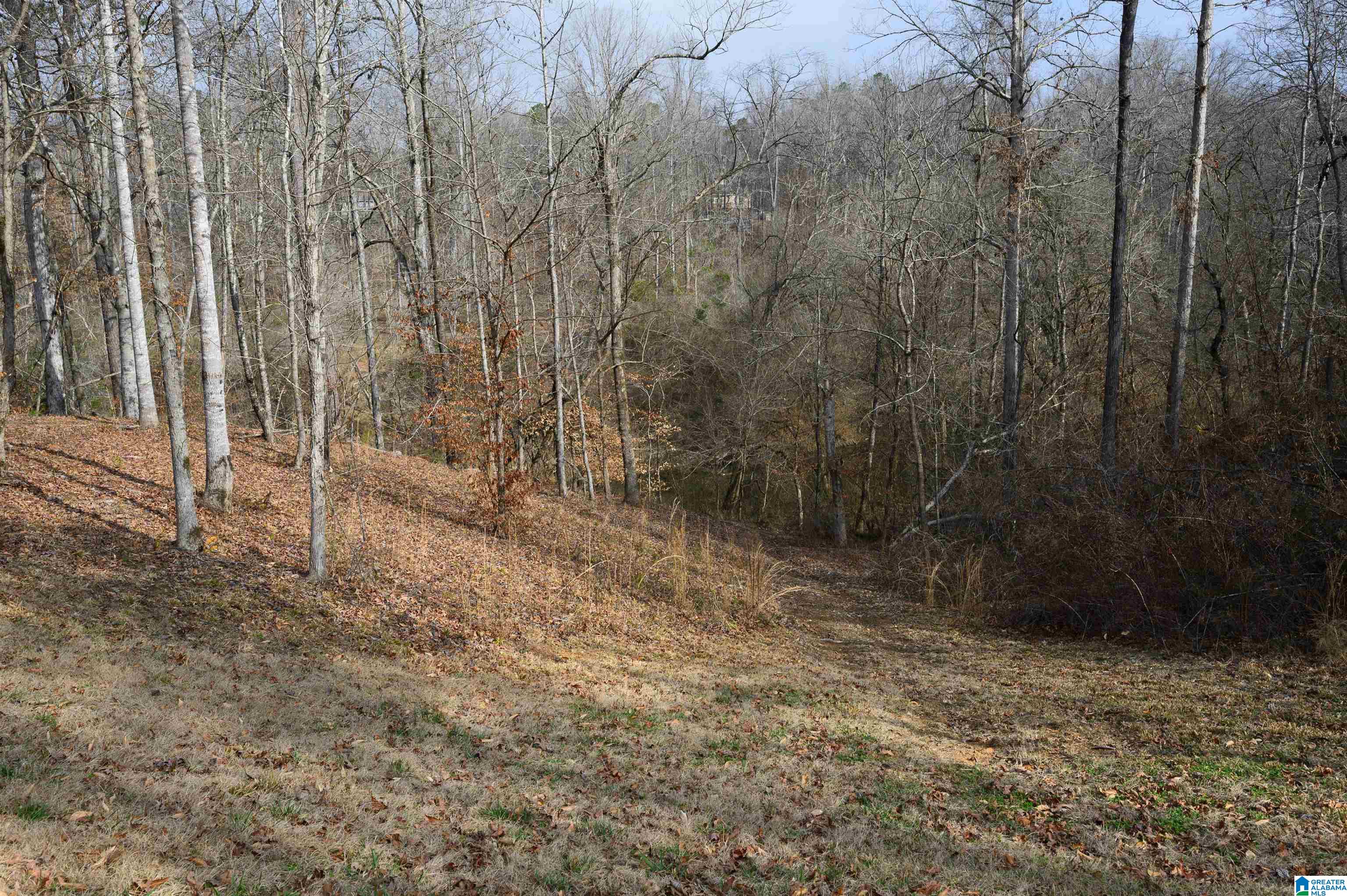 8026 Madison Avenue Helena, AL 35080 - Photo 63 of 66