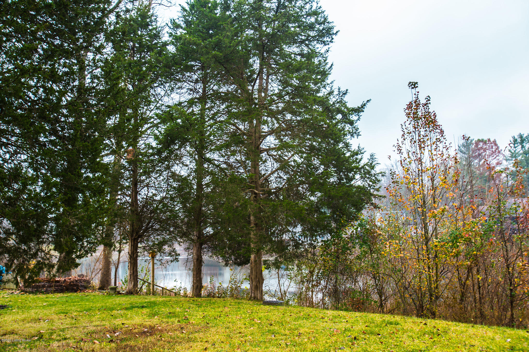 12128 Maplewood Road Goshen, KY 40026 - Photo 46 of 48 Backyard with Lakeview