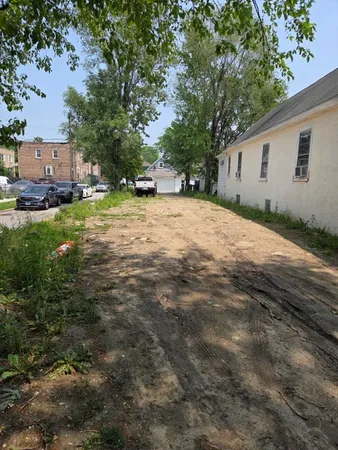 a view of a yard with plants and trees
