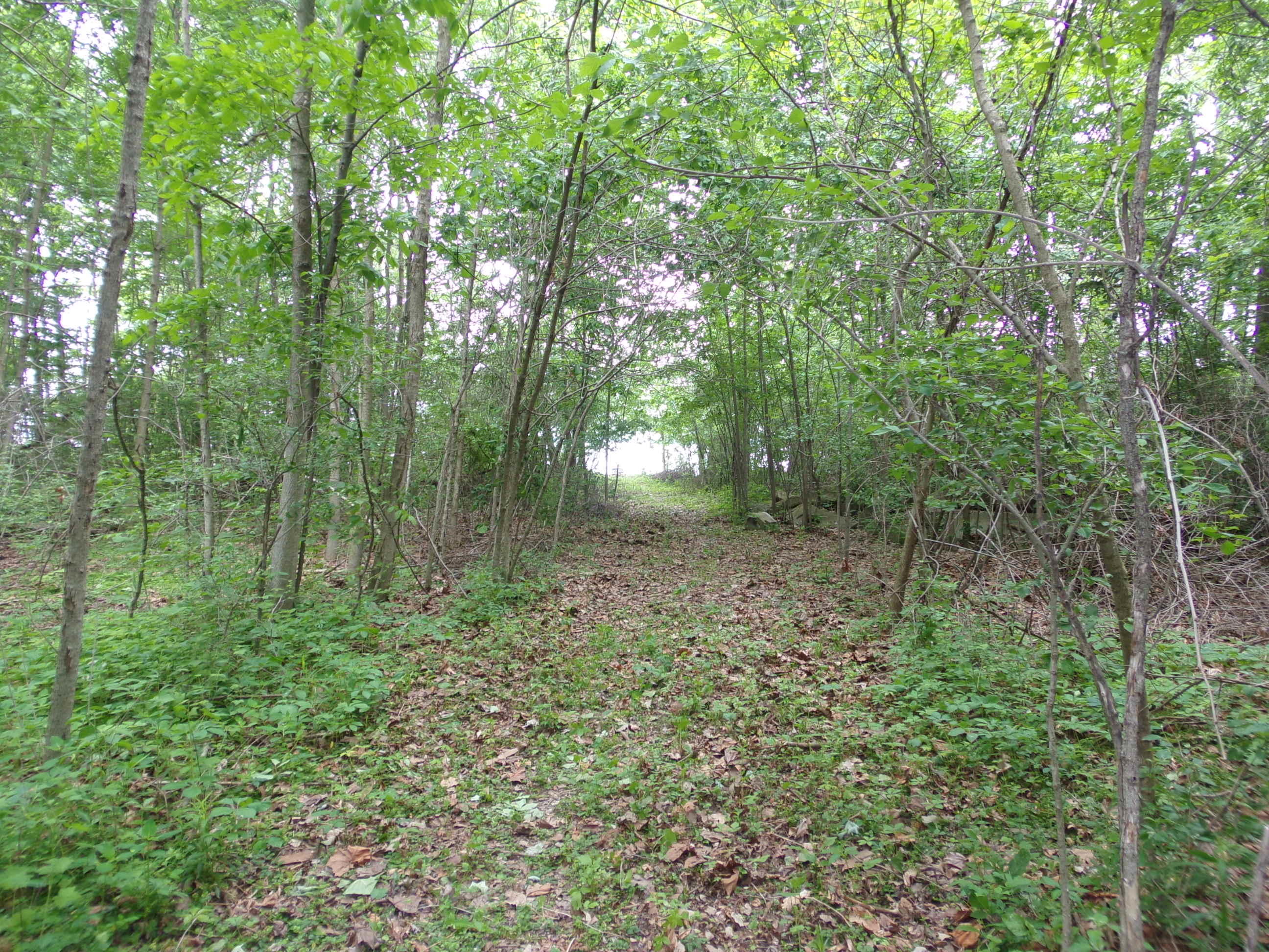 0 Cincy Road Celina, OH 45822 - Photo 11 of 11