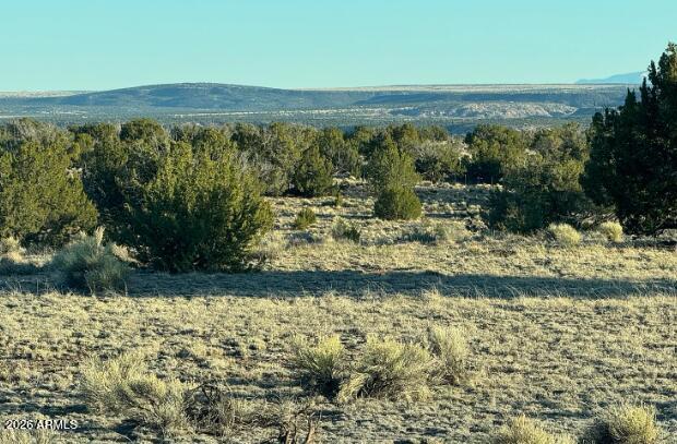 910 County Road St. Johns, AZ 85936 - Photo 11 of 12 910 County Rd N6657
