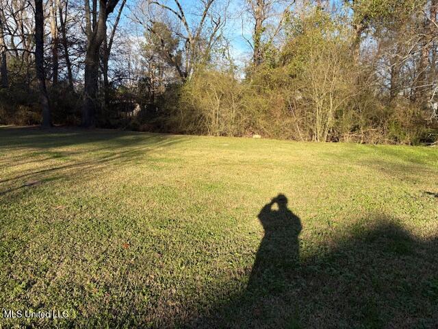 112 East Willow Drive Braxton, MS 39044 - Photo 5 of 8 IMG_2871