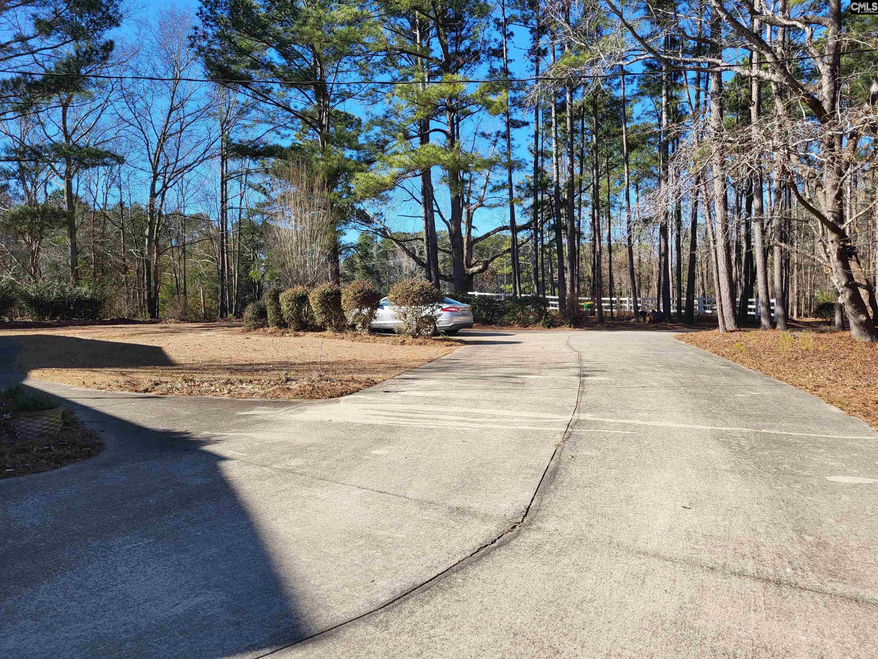 205 Sim Johnson Road Gilbert, SC 29054 - Photo 6 of 47