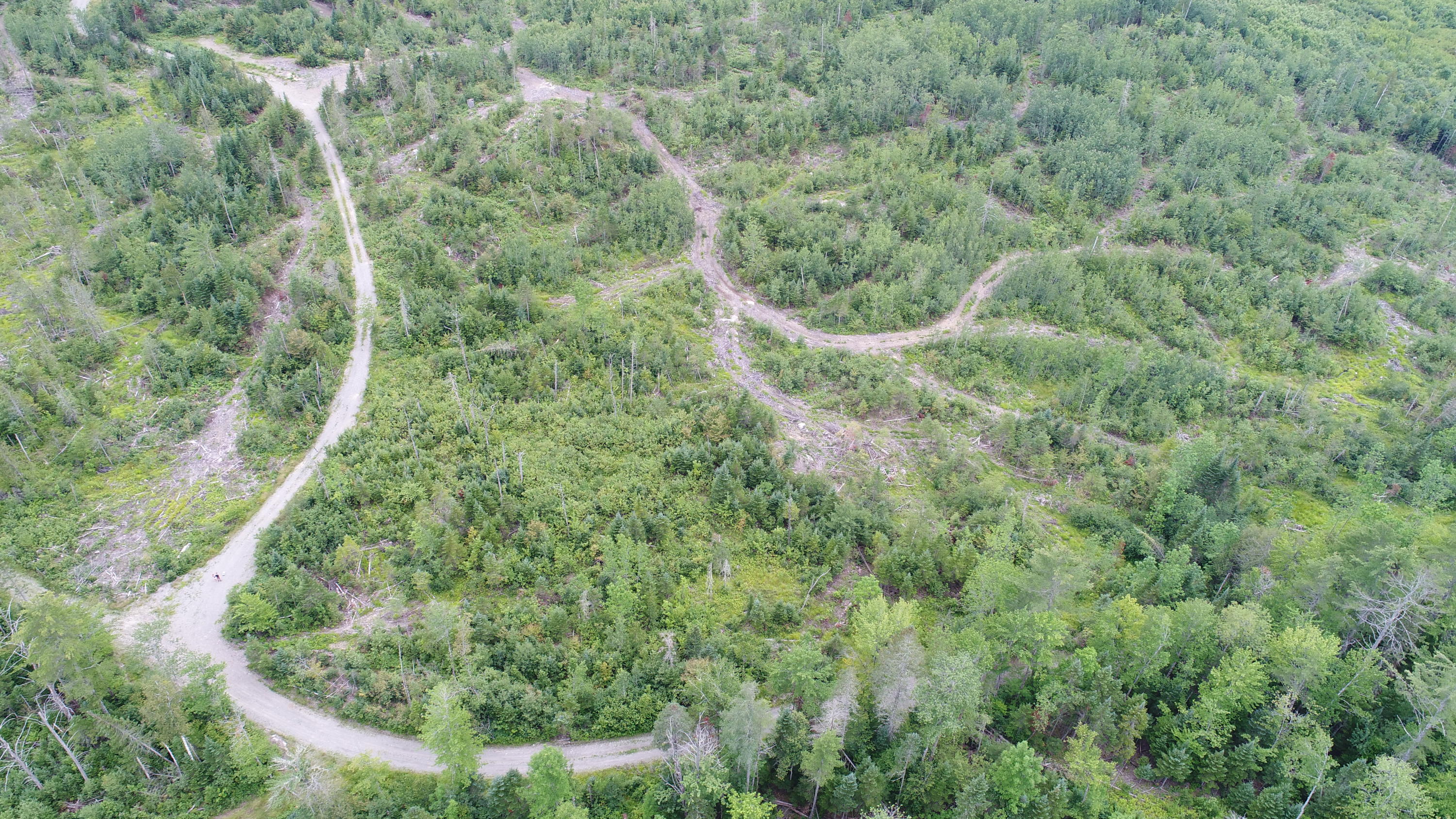 Tbd McCarty Road Solon, ME 04979 - Photo 4 of 17 DJI_0105