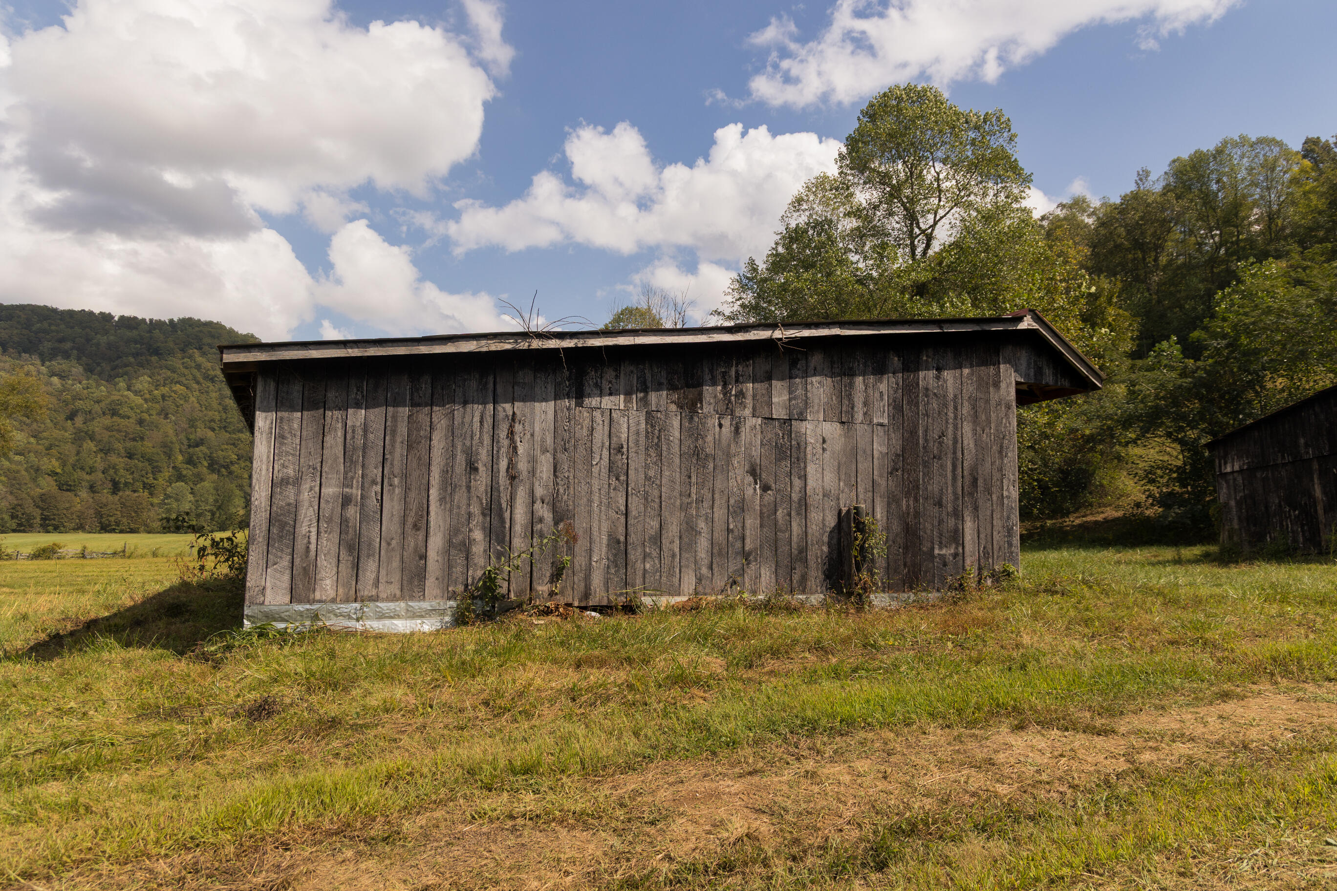 251 Everett Byrd Road Ricetown, KY 41364 - Photo 52 of 54 FO7A9298