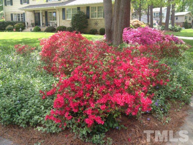 3907 Converse Drive Raleigh, NC 27609 - Photo 27 of 30 a view of a house with a yard and garden