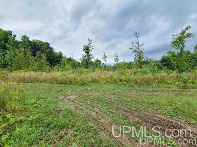 Tbd Bates-Amasa Road Iron River, MI 49935 - Photo 7 of 12