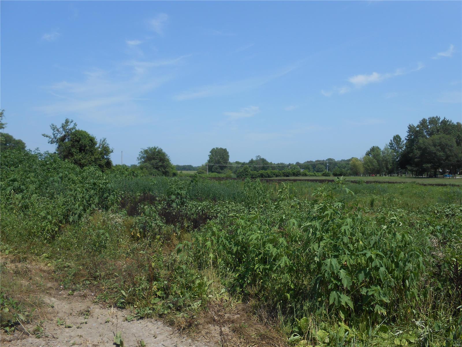 1133 Scott Troy Road Lebanon, IL 62254 - Photo 7 of 9 Gallery Image 7