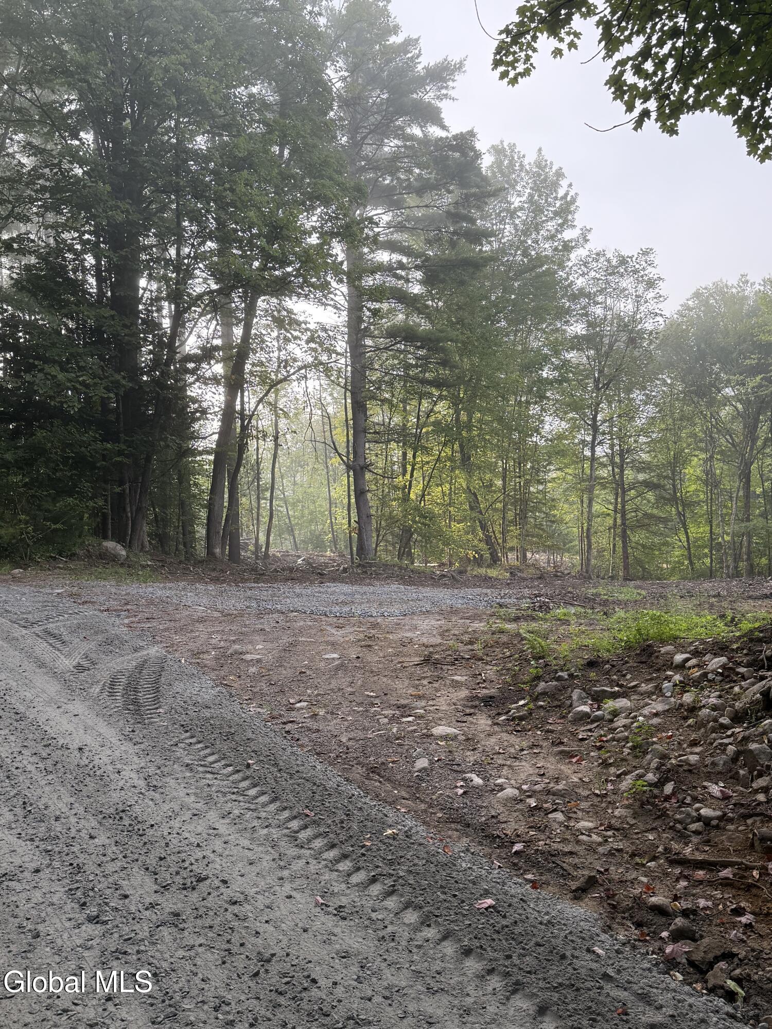 326 Dickinson Hill Road Bolton, NY 12824 - Photo 2 of 4 Lot 1 road