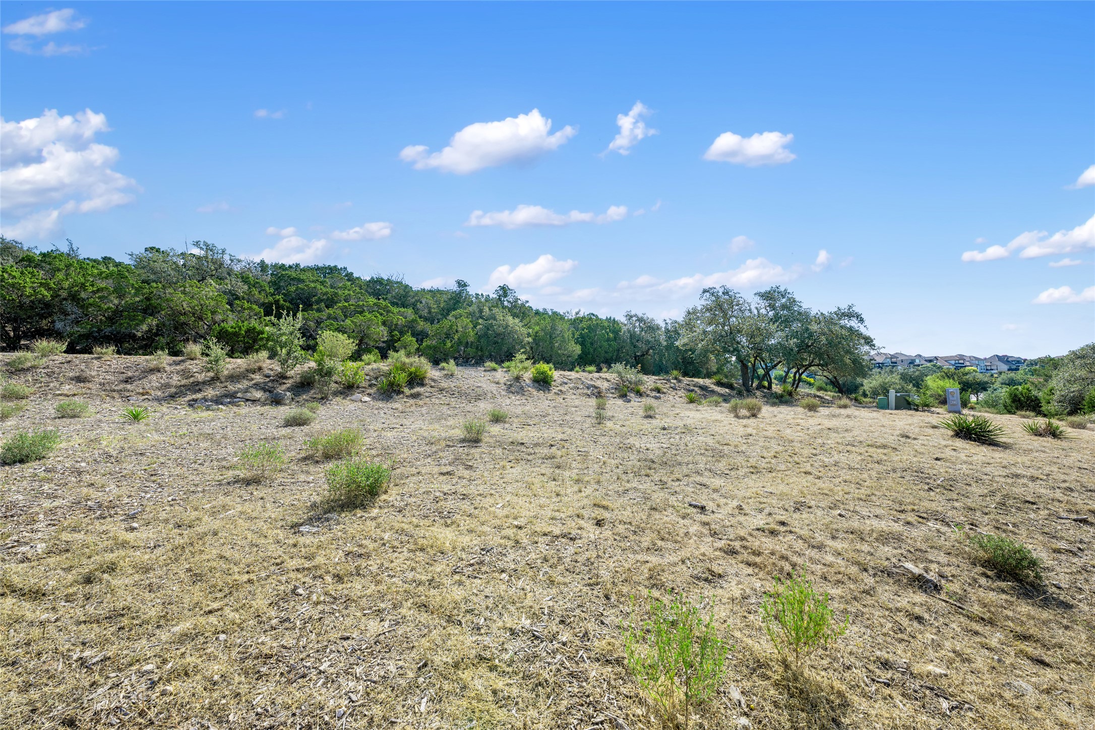 2804 Lakehurst Road Spicewood, TX 78669 - Photo 10 of 18