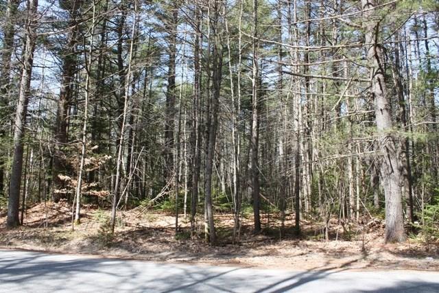 Lot 2 Lakeshore Road Wayne, ME 04284 - Photo 1 of 3 Photo