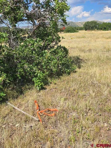 $190,000 | Tbd Lone Cone Meadows Lane, Norwood, CO 81423