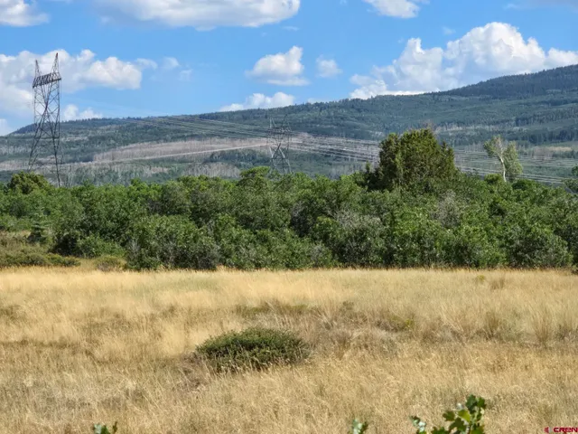 a view of a yard with a lake