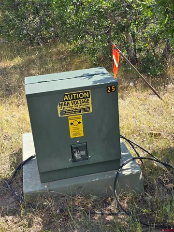 a view of a dry yard with a tree