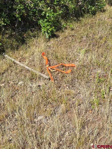 $190,000 | Tbd Lone Cone Meadows Lane, Norwood, CO 81423