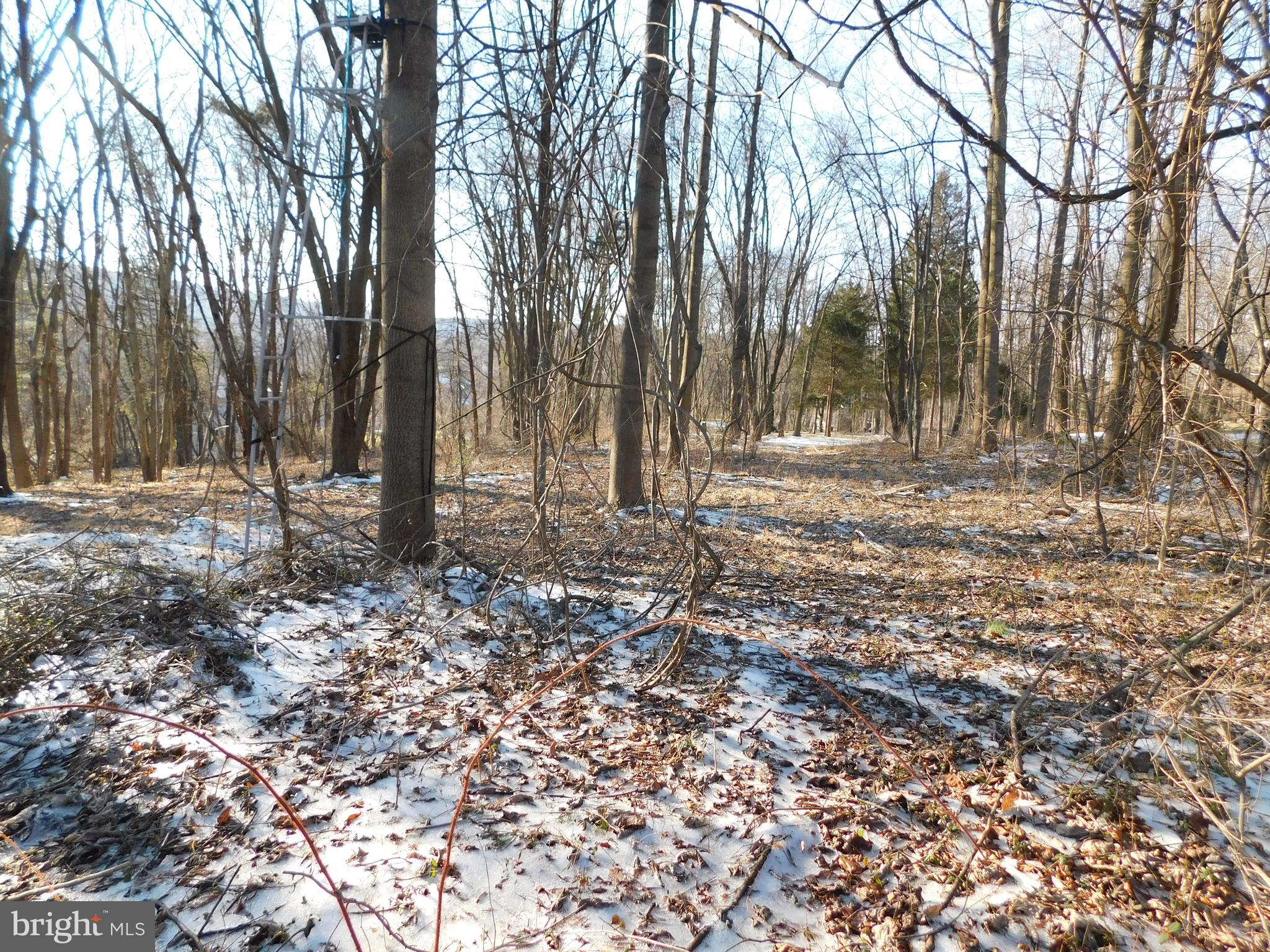 0 Unionville Road Pottstown, PA 19465 - Photo 1 of 4