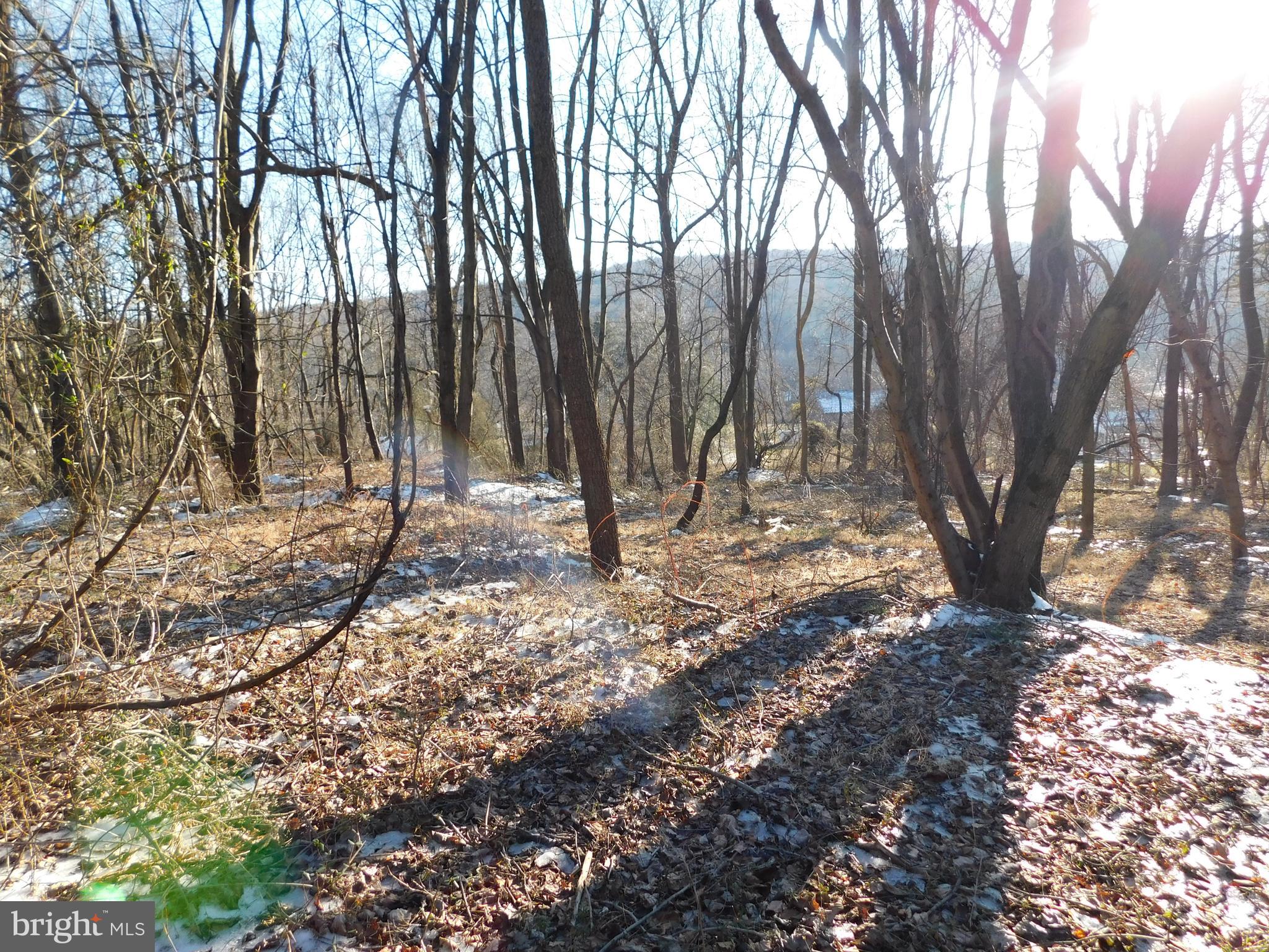 0 Unionville Road Pottstown, PA 19465 - Photo 3 of 4