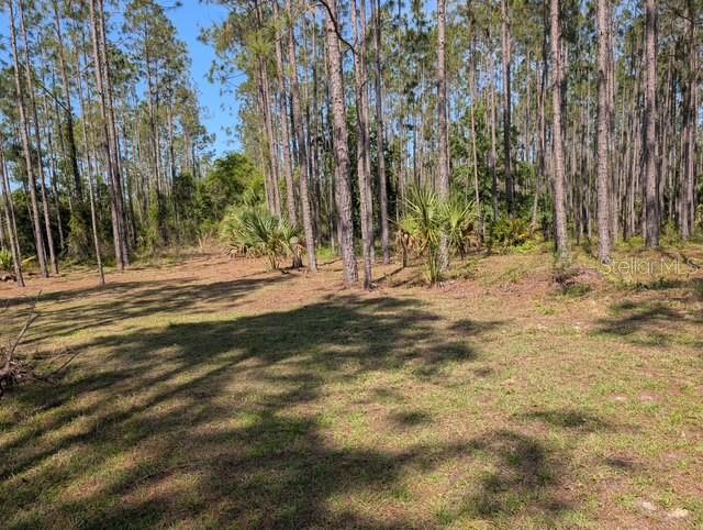 540 Southwest 326th Avenue Steinhatchee, FL 32359 - Photo 1 of 14