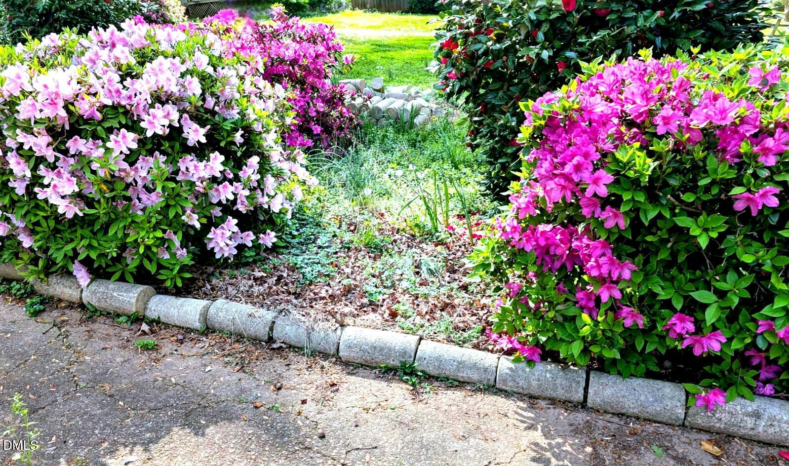 323 Ranch Farm Road Raleigh, NC 27603 - Photo 42 of 42 a view of a flower in a yard
