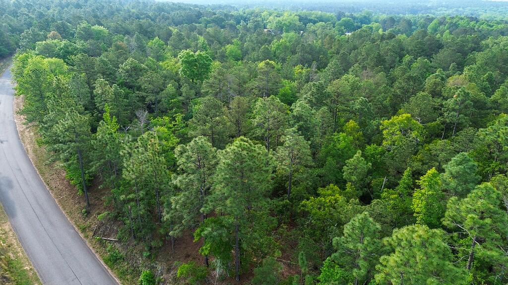 0 Mt Zion Road, Unit 5 Trenton, SC 29847 - Photo 17 of 26