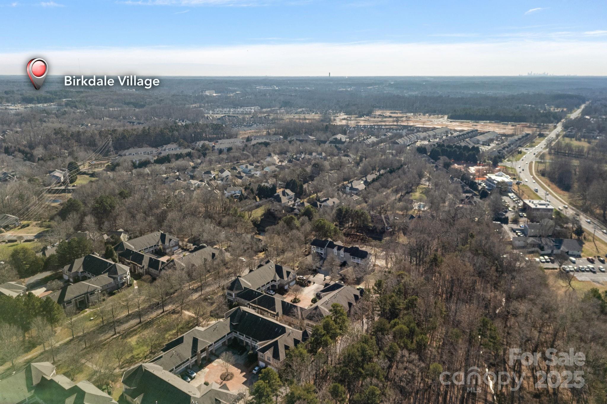 8938 Rosalyn Glen Road Cornelius, NC 28031 - Photo 29 of 29