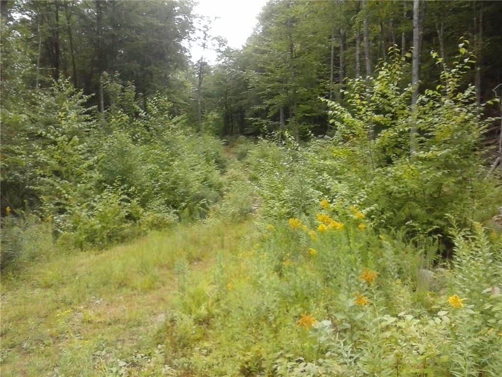 0 Simon Ricker Road Shapleigh, ME 04076 - Photo 10 of 15 Photo