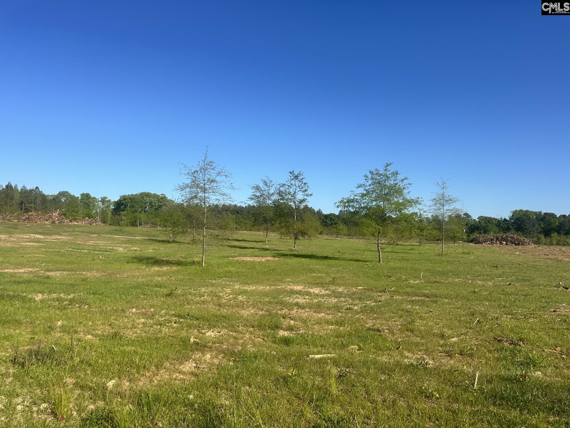 0 Livingston Road Pomaria, SC 29126 - Photo 2 of 6