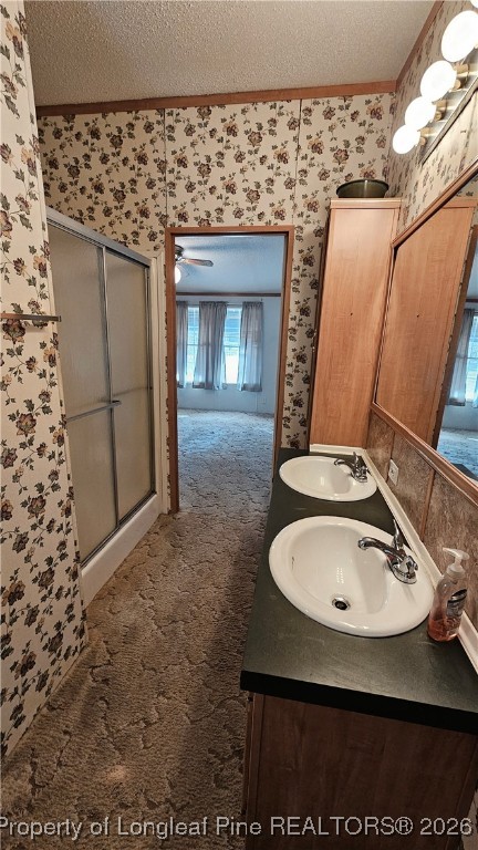 2156 Maxton Street Autryville, NC 28318 - Photo 17 of 38 a bathroom with a sink and a mirror