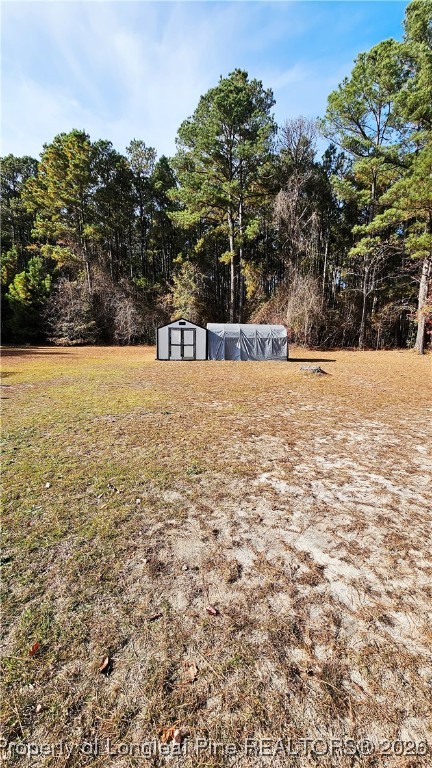 2156 Maxton Street Autryville, NC 28318 - Photo 33 of 38 a view of outdoor space