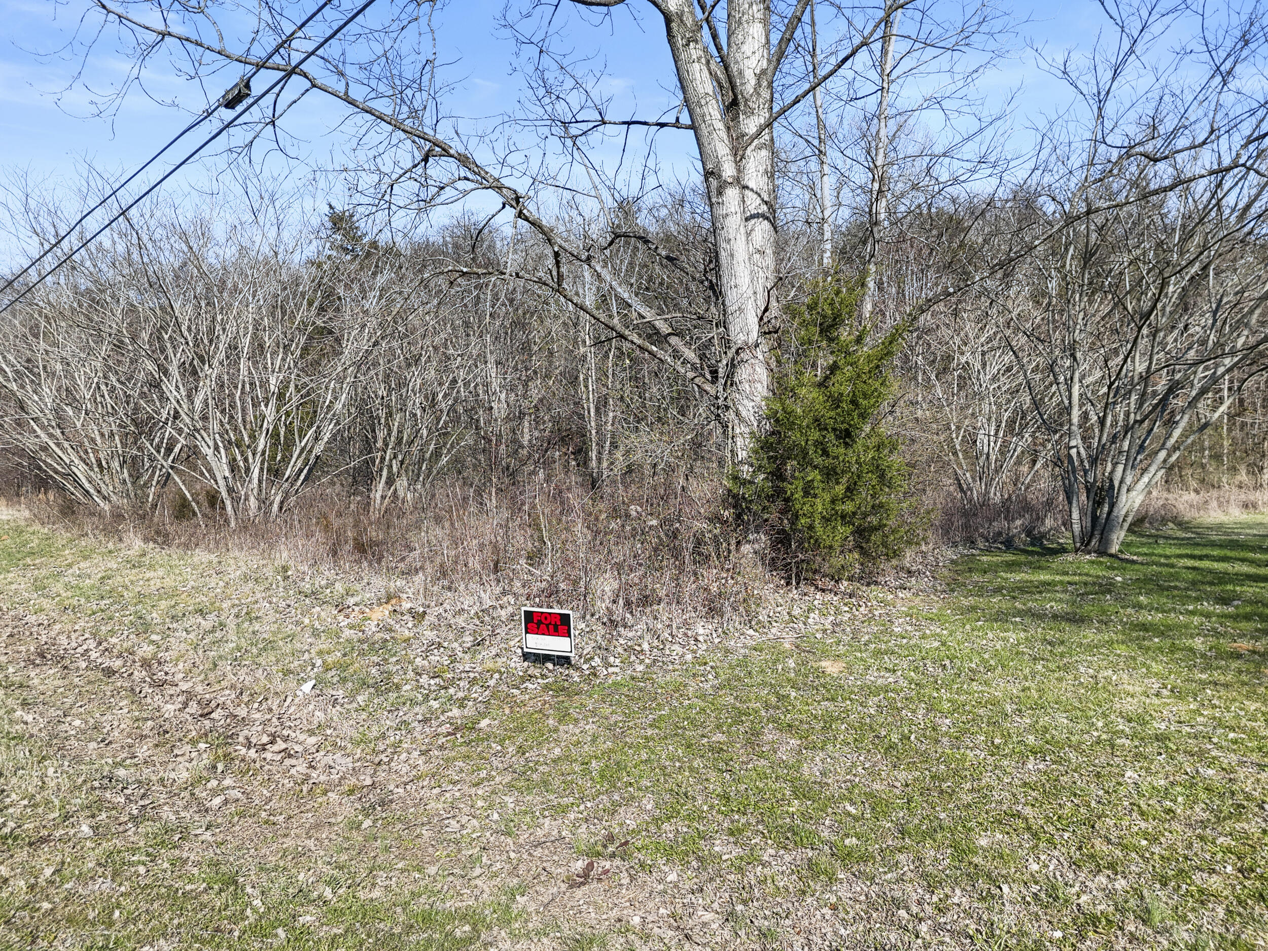 0 Battle Creek Road South Pittsburg, TN 37380 - Photo 8 of 8 dji_20260122001719_0307_d