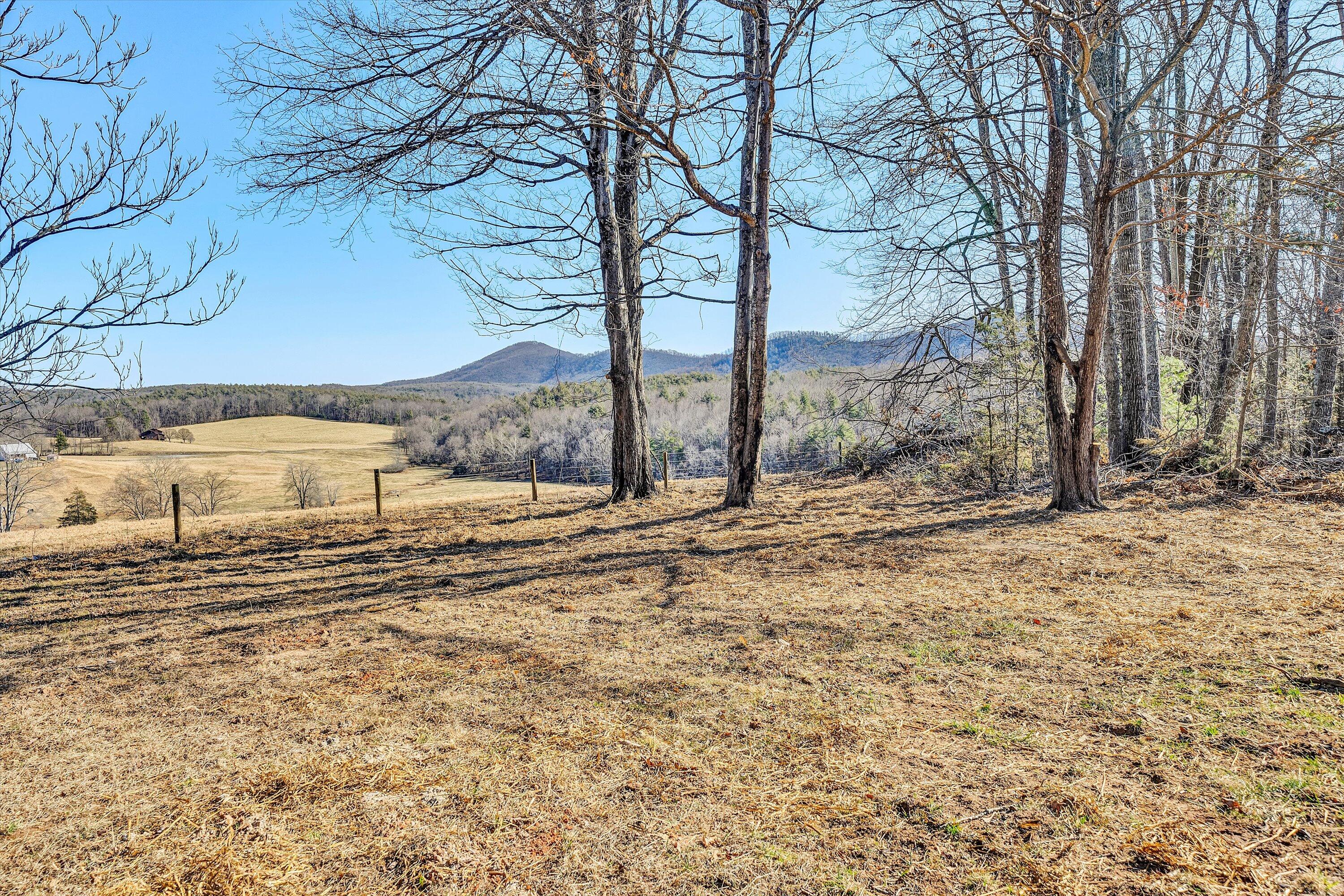 3160 Sawmill Road Ferrum, VA 24088 - Photo 2 of 30 Rural Setting