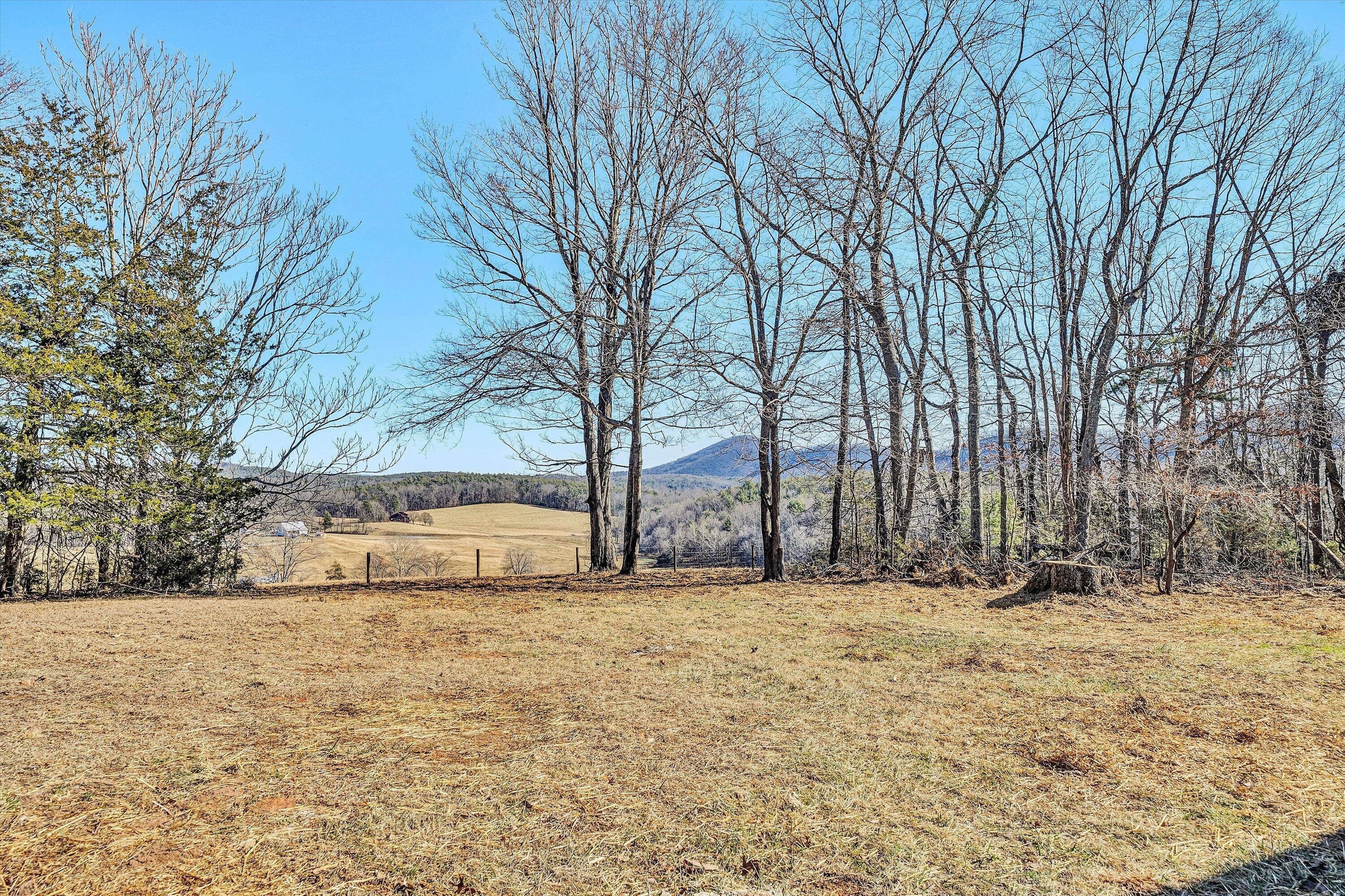 3160 Sawmill Road Ferrum, VA 24088 - Photo 27 of 30 Rural Setting