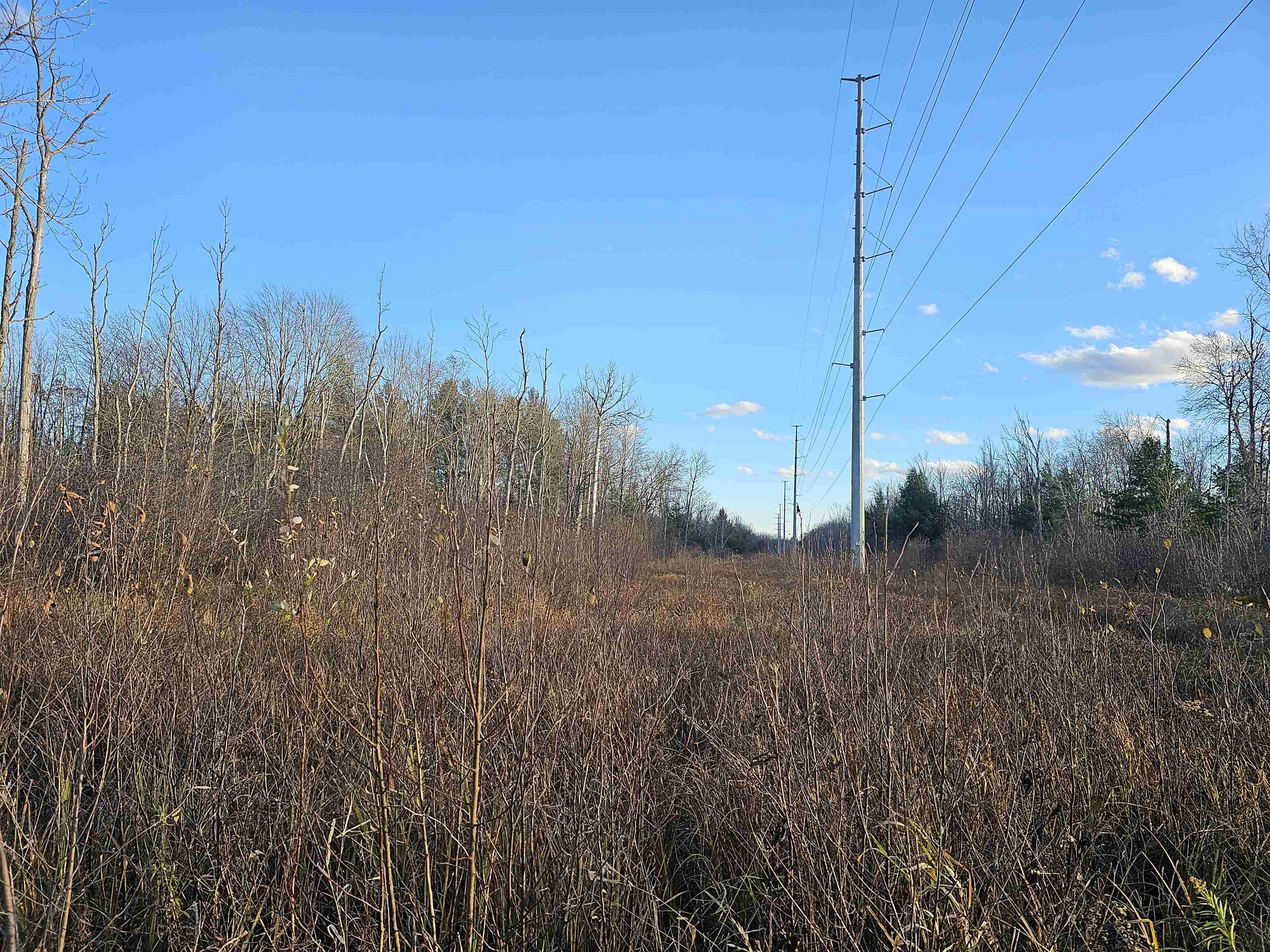 V/l Whittemore Road Turner, MI 48765 - Photo 5 of 16 Gallery Image 5