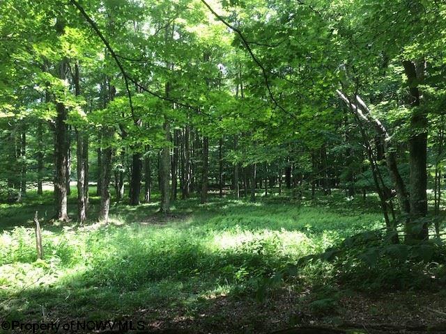 Lot 21 Deer Ridge Davis, WV 26260 - Photo 10 of 16 Gallery Image 10