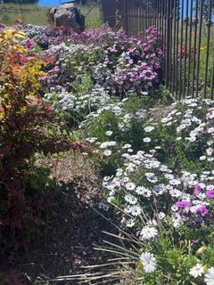 $2,895,000 | 3936 Skyfarm Drive, Santa Rosa, CA 95403