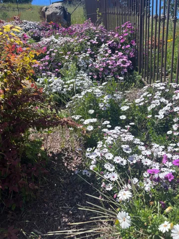 $2,975,000 | 3936 Skyfarm Drive, Santa Rosa, CA 95403