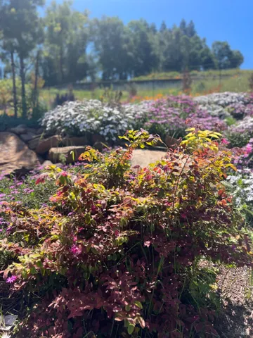 $2,975,000 | 3936 Skyfarm Drive, Santa Rosa, CA 95403