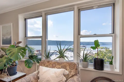 a potted plant sitting in front of a window