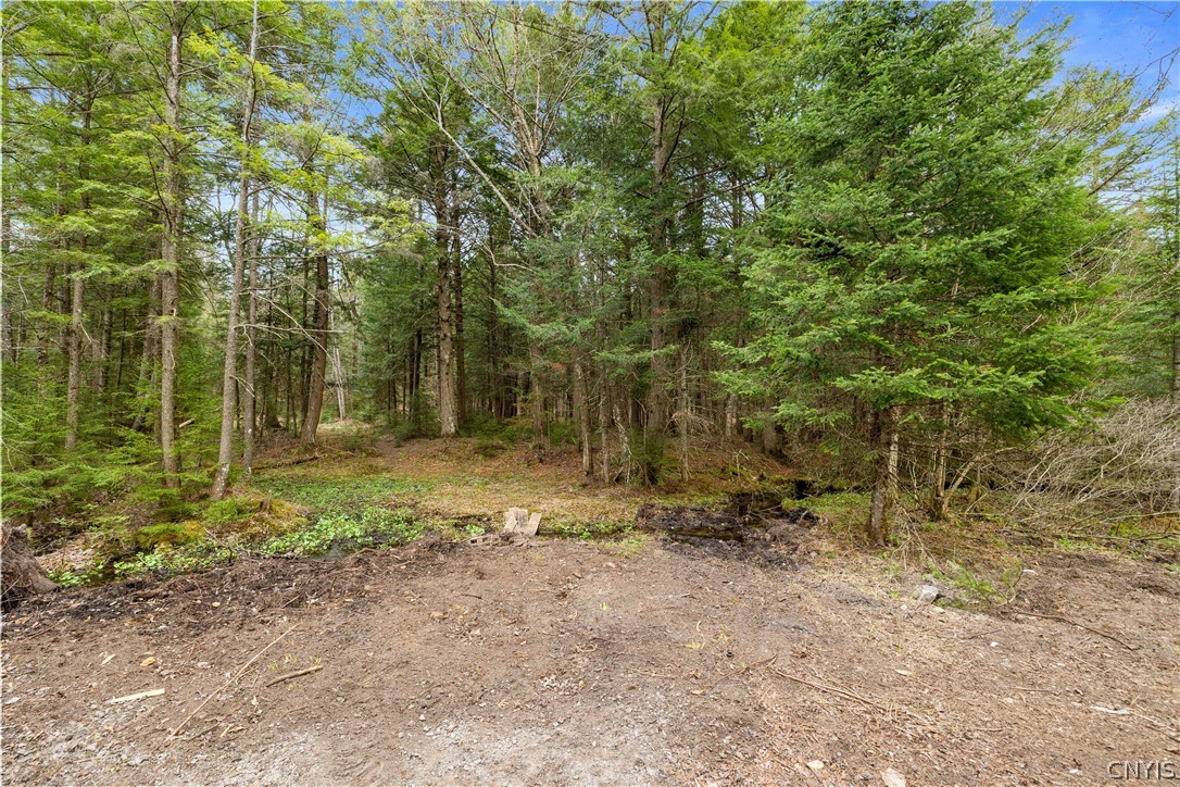 122 Mill Wood Hill Road Ohio, NY 13324 - Photo 20 of 28