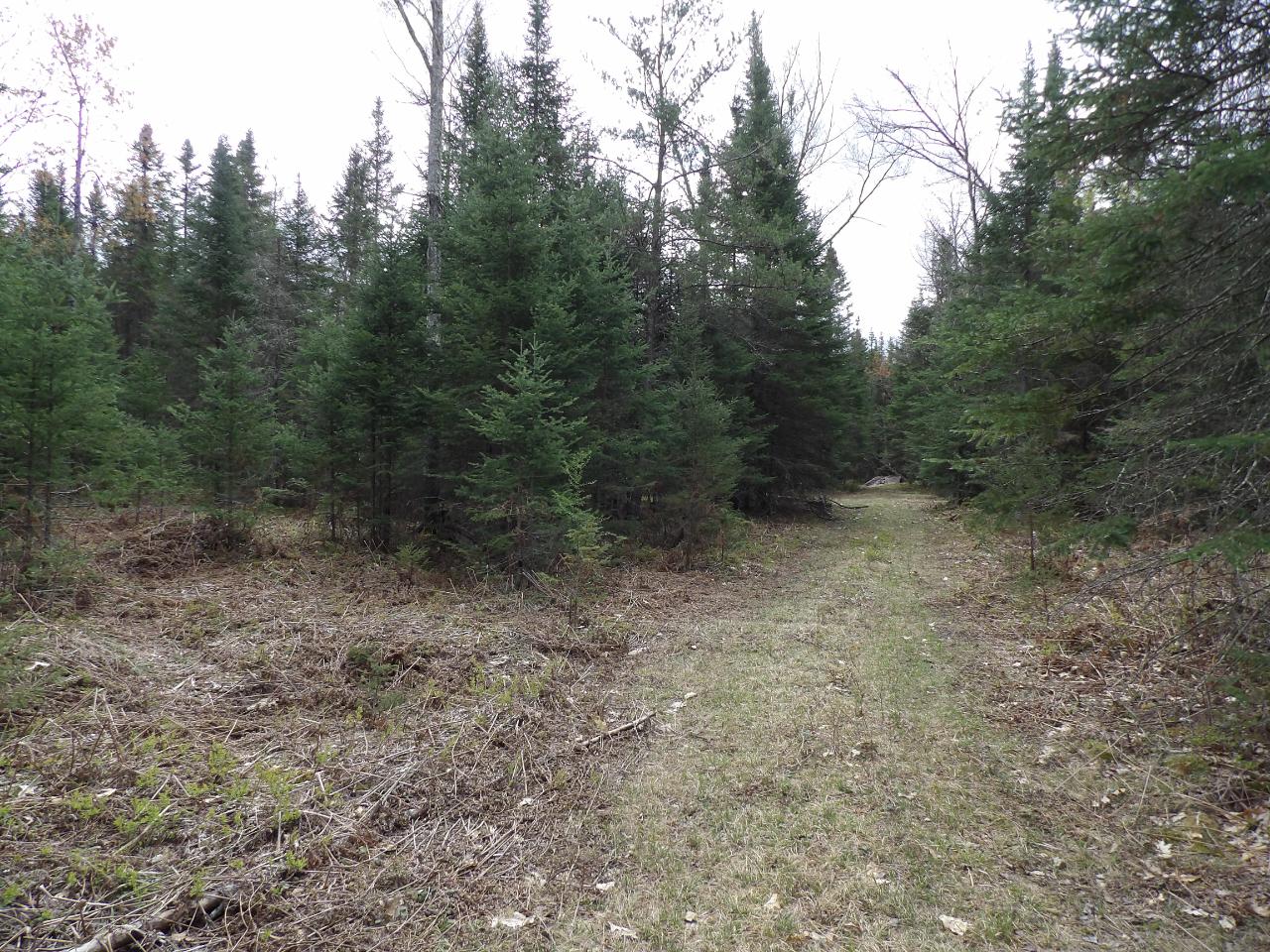 37-ac On Pineaire Drive Rhinelander, WI 54501 - Photo 13 of 21 Gallery Image 13