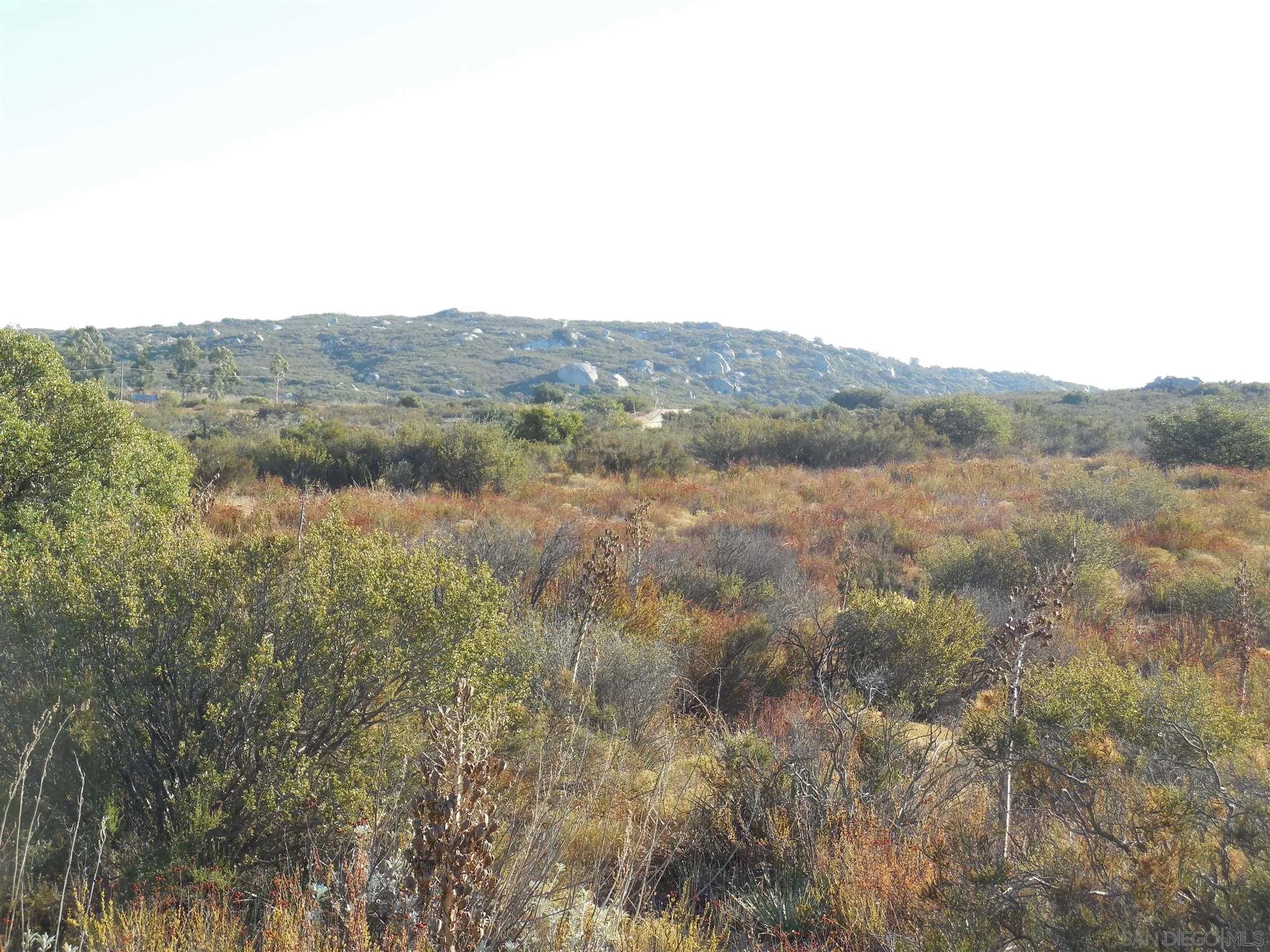 1388 Harris Ranch Road, Unit 3 Potrero, CA 91963 - Photo 10 of 14 a view of a forest with mountains in the background
