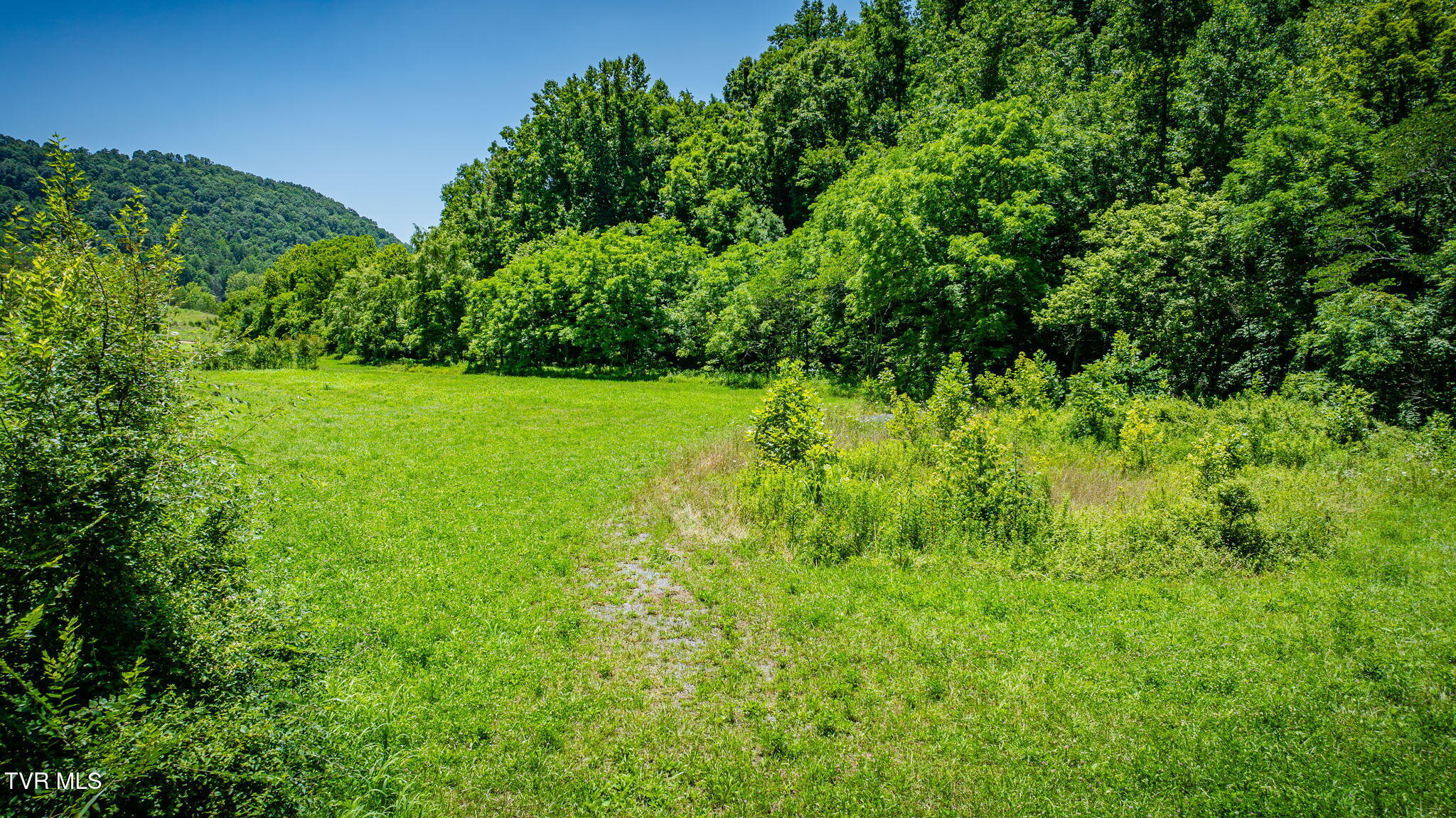 Tbd Hickory Cove Road Rogersville, TN 37857 - Photo 14 of 17 114