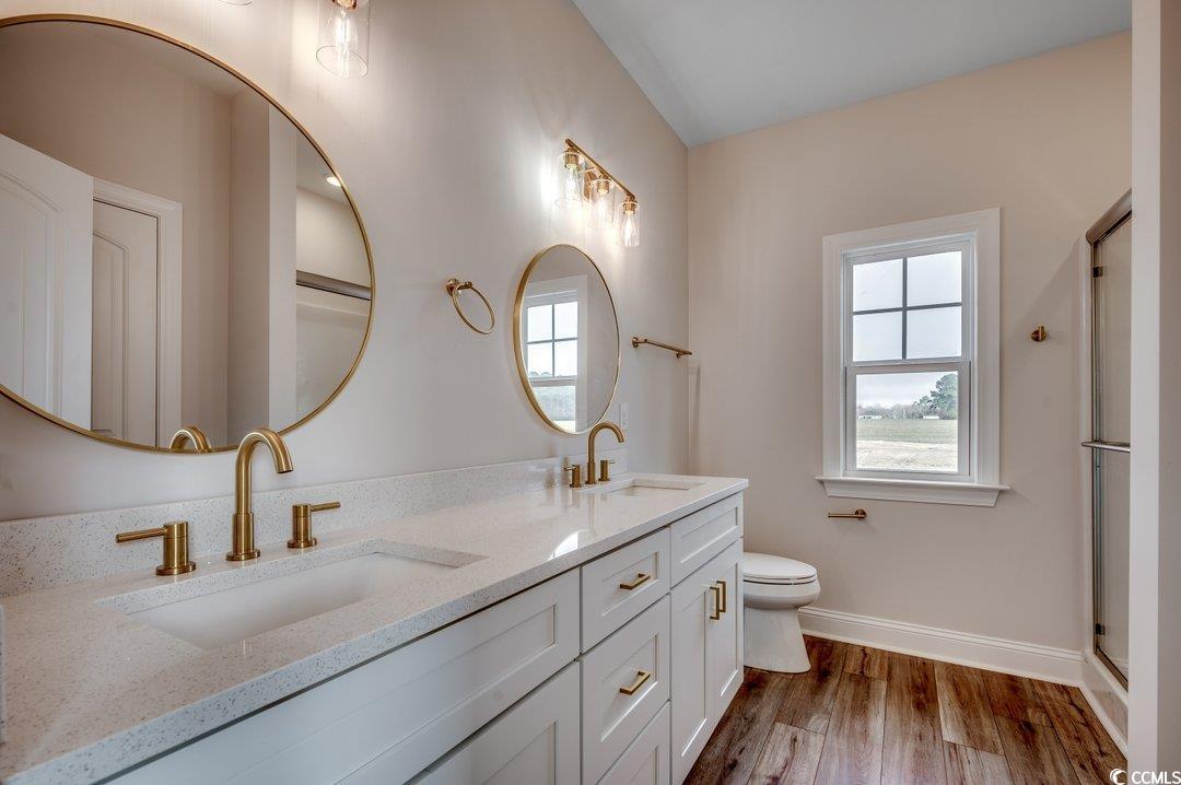 4975 Dupont Road Aynor, SC 29511 - Photo 13 of 22 Bathroom featuring vanity, plenty of natural light
